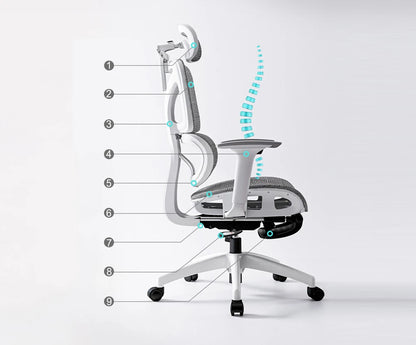 Tookfun Ergonomic Chair